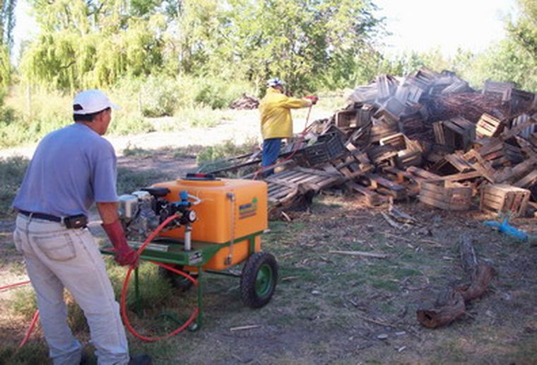 Así trabaja el personal municipal de Junín. Foto: MDZ