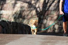 La semana pasada el Concejo Deliberante de Godoy Cruz aprobó esta iniciativa impulsada por el oficialismo de Cambia Mendoza y criticada por el Frente de Todos. Foto: ALF PONCE MERCADO / MDZ