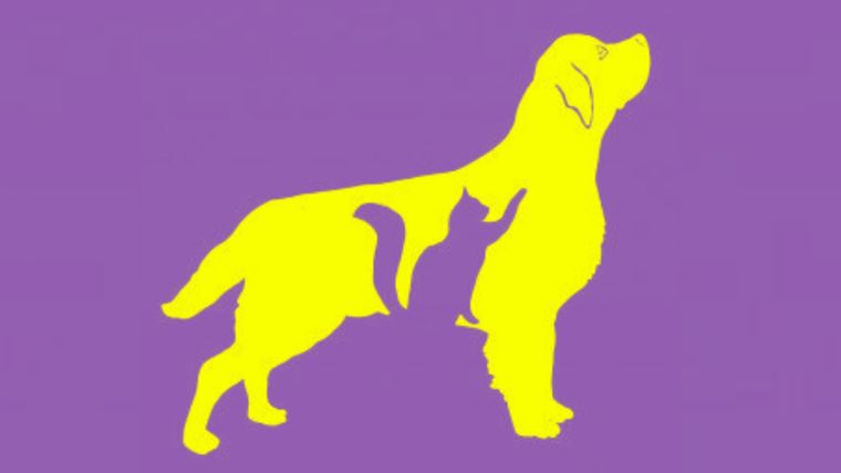 Test de personalidad