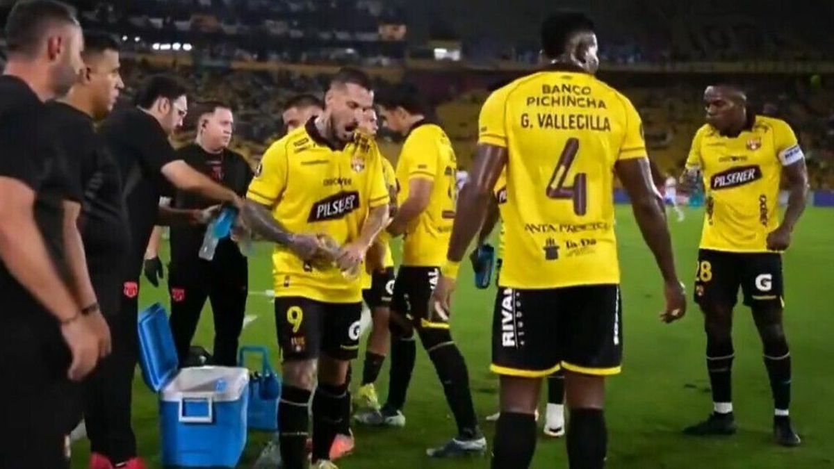 Video: Pipa Benedetto explotó a puro insulto contra sus compañeros en la pausa de rehidratación