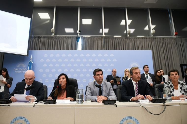 El Gobierno pretende darle media sanción al proyecto durante este mes. Foto: Diputados