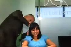 cuando el doctor examino su cabeza quedo asombrado