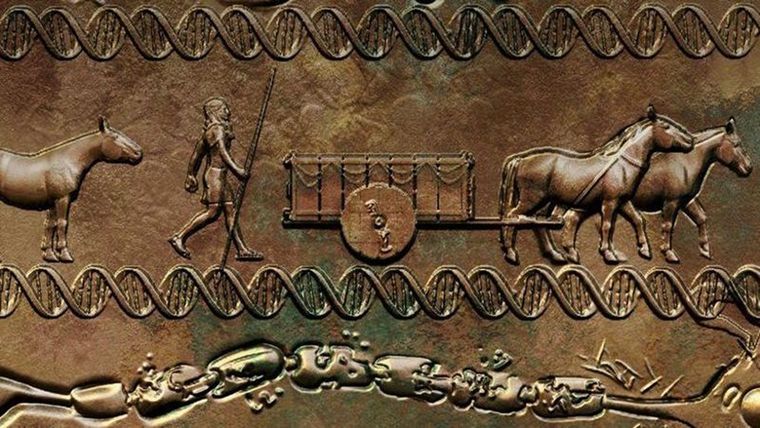 Un gen relacionado a la tribu de los Yamna pareciera ser la respuesta a algunas enfermedades del sistema inmune Foto: GETTY IMAGES