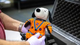 Snoopy, el indicador de gravedad cero que voló a bordo de Orión durante la misión Artemisa I.