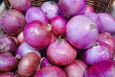 Una aliada para tus plantas. Foto: Fuente: Shutterstock
