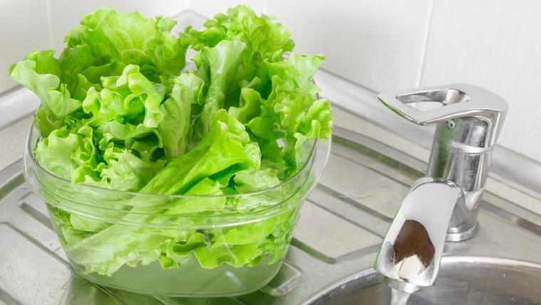 Recuerda comprar lechuga en pequeñas cantidades y consumirla en pocos días. Foto: Archivo