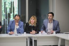 Mariana Caroglio fue senadora hasta el año 2019.