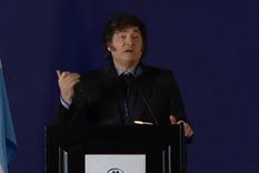 javier milei celebro el cierre del ministerio de la mujer y volvio a cruzar a julia mengolini