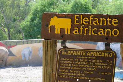 MDZol | Foto: Pachy Reynoso/MDZ