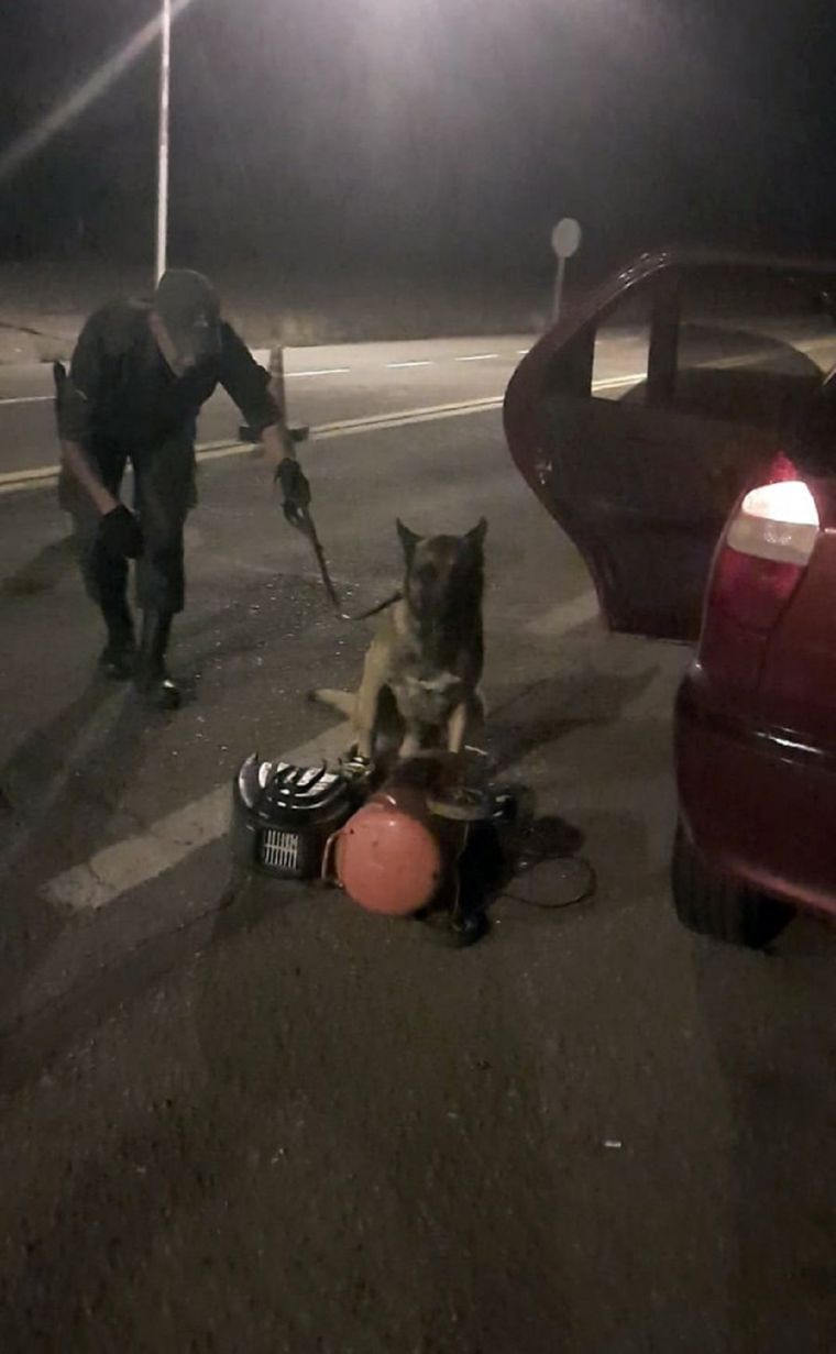 El trabajo de los gendarmes y los canes sobre el artefacto. Así terminaron dando con los estupefacientes Foto: Gendarmería Nacional