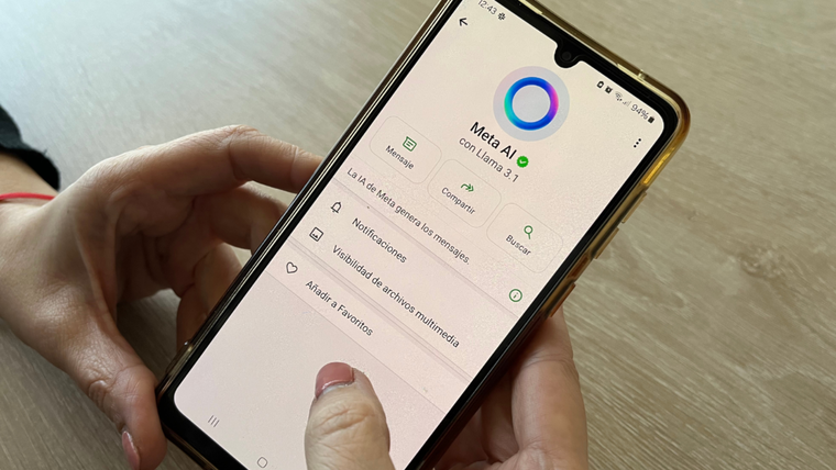 La IA de WhatsApp apareció en la última actualización Foto: Chequeado