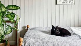 .Quitar las manchas rápidamente es esencial Foto: Future / Brent Darby Photography .Quitar las manchas rápidamente es esencial Foto: Future / Brent Darby Photography