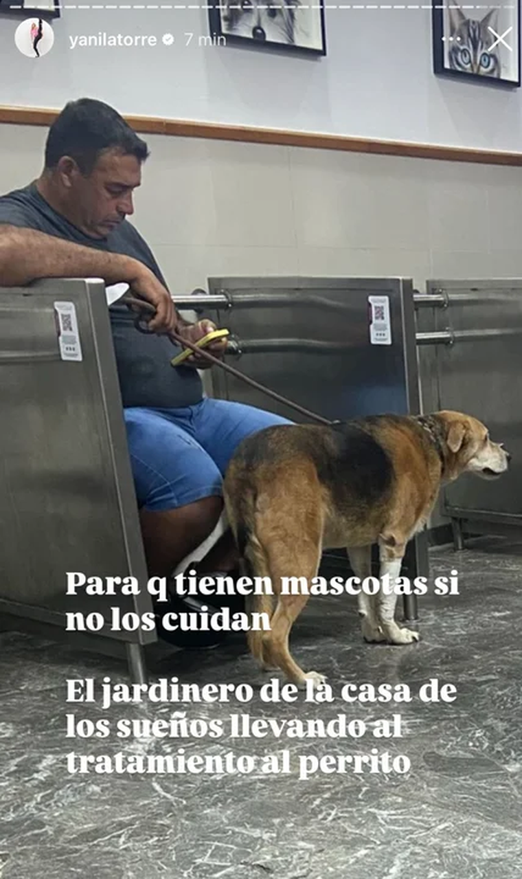 Yanina Latorre desmintiendo, nuevamente, la versión de la China Suárez sobre lo ocurrido con la mascota de la actriz. Yanina Latorre desmintiendo, nuevamente, la versión de la China Suárez sobre lo ocurrido con la mascota de la actriz.