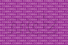 Este acertijo visual ayuda a mantener la visión y la atención lo más ejercitado posible.