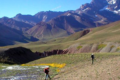 MDZol | Valle de la Oveja.