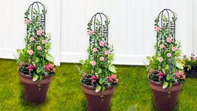 Las rejas para plantas es una estructura que para sostener y exhibir una variedad de plantas trepadoras. de interior. Foto: mercadolibre.com.ar