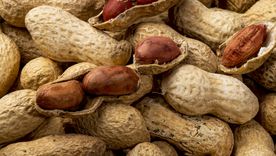 Mendoza recibirá por primera vez la cumbre internacional del maní.&nbsp;