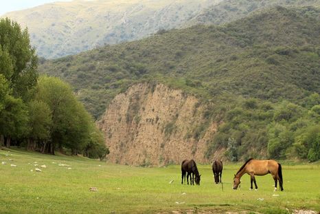 Bialet Massé es un pueblo de Punilla donde el río Cosquín y las sierras construyen una de las entradas más visibles al valle. Bialet Massé es un pueblo de Punilla donde el río Cosquín y las sierras construyen una de las entradas más visibles al valle.