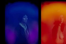 Foto: vanderoer.com / Carlo Van de Roer