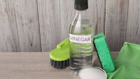 Vinagre y detergente, un gran herbicida. Fuente: Shutterstock. Vinagre y detergente, un gran herbicida. Fuente: Shutterstock.