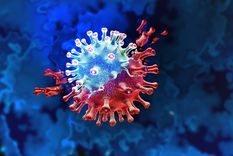 El  innovador suplemento dietario con tecnología del Conicet mejora de manera significativa las secuelas de covid prolongado. Foto: Shutterstock