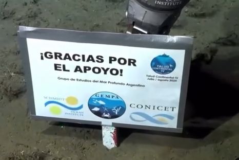 El próximo streaming del Conicet sería a fines de septiembre con una nueva campaña de exploración que se extenderá hasta el 29 de octubre. El próximo streaming del Conicet sería a fines de septiembre con una nueva campaña de exploración que se extenderá hasta el 29 de octubre.