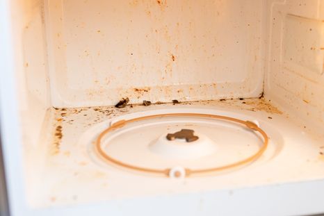 La limpieza del microondas previene la acumulación de bacterias como Proteobacteria y Firmicutes. Foto: Shutterstock La limpieza del microondas previene la acumulación de bacterias como Proteobacteria y Firmicutes. Foto: Shutterstock