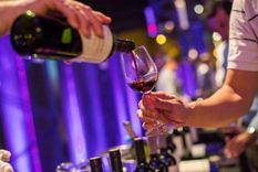 Premiaron la campaña institucional del Vino Argentino, Bebida Nacional