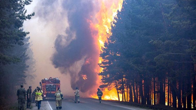La deforestación ilegal es una de las prácticas que atentan contra el medio ambiente Foto: Euronews.