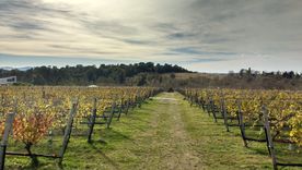 Athos Pampa es un pueblo serrano donde los caminos de ripio y el paisaje verde forman una de las escenas más tranquilas de Calamuchita.