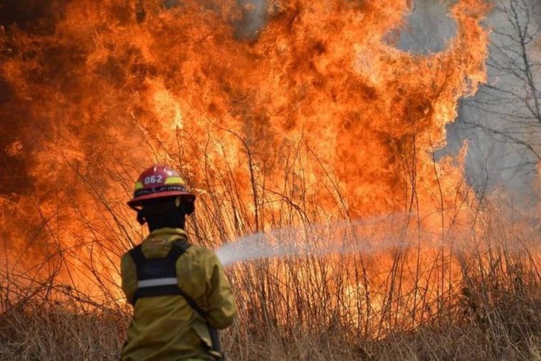 Los incendios en Corrientes comenzaron hace más de 30 días