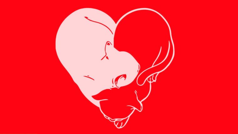 Test de personalidad