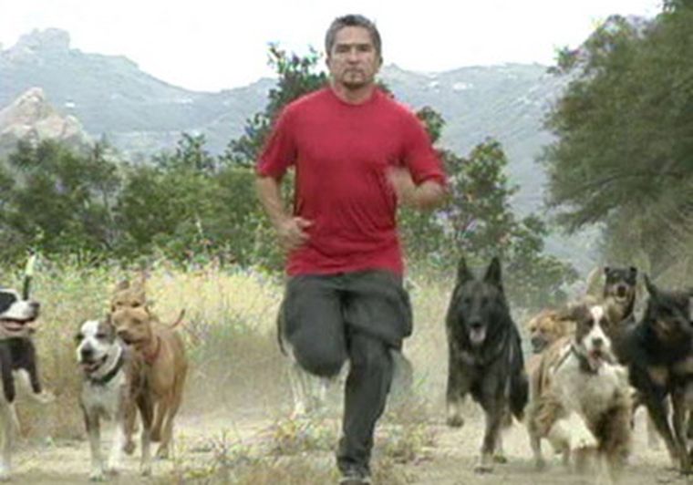 César Millán, el encantador de perros.