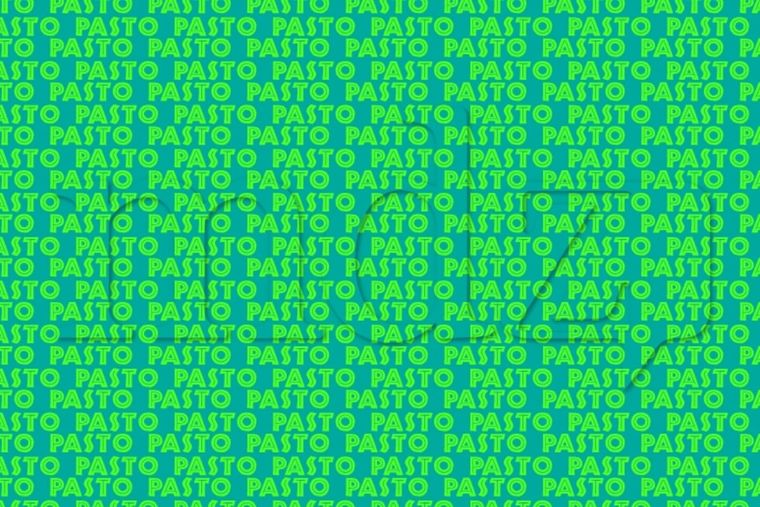 Acertijo visual Acertijo visual, Reto visual, Palabra Foto: MDZ Online