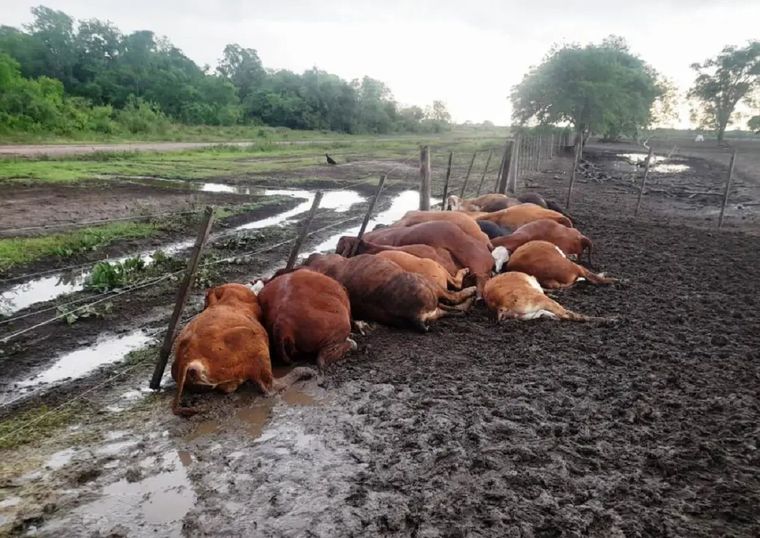 Foto: El Comercial de Formosa