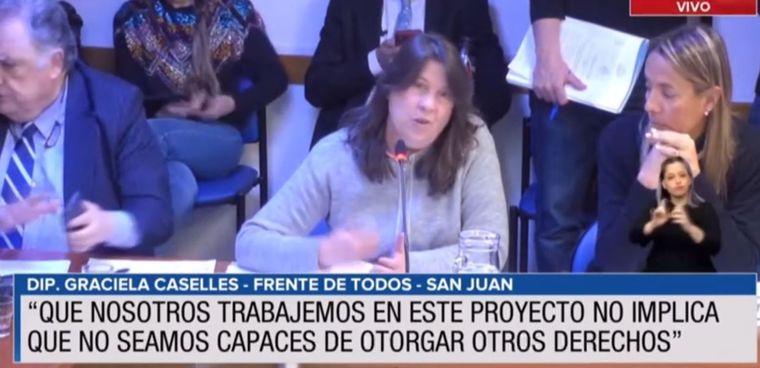 Foto: Captura de video - Diputados