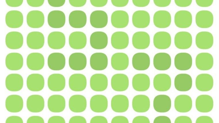 Este acertijo visual pone a prueba el poder de la visión Foto: Archivo MDZ