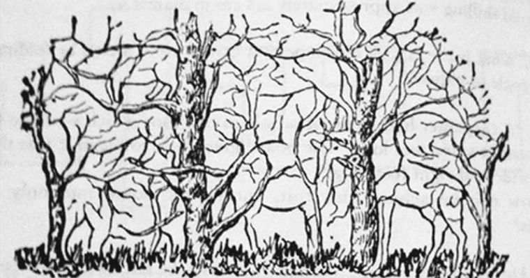 Test de personalidad