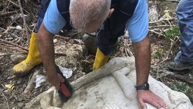 El hallazgo en Italia aporta información sobre las prácticas funerarias y el estatus social en la antigua Roma.