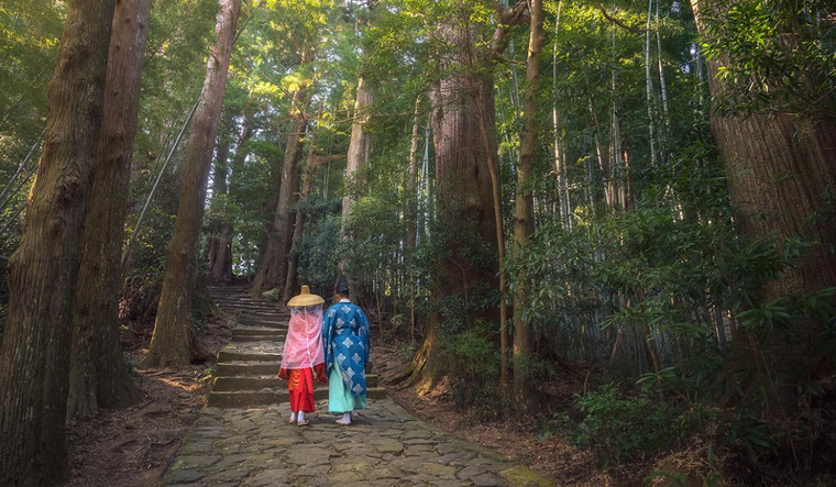 Desde Japón llega una técnica que ayuda a bajar el estrés de todos los días, solamente con un baño de bosque. Foto: Shutterstock