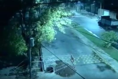 MDZol | El robo de cables fue captado por las cámaras de seguridad.