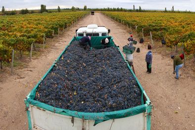 MDZol | Foto: Nacho Gaffuri / MDZ