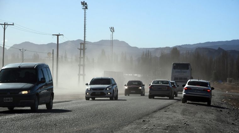 Un hombre de 71 años murió tras chocar contra un árbol Foto: Imagen ilustrativa / ALF PONCE MERCADO / MDZ