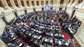 El Gobierno sufrió un duro revés en la Cámara de Diputados. El Gobierno sufrió un duro revés en la Cámara de Diputados.