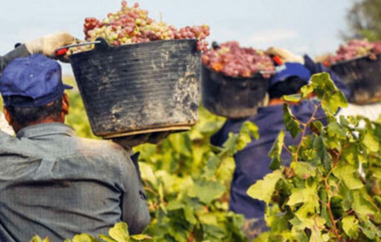 Las consecuencias de las decisiones erróneas que trajo a la inversión de un sector en un momento determinado. Las consecuencias de las decisiones erróneas que trajo a la inversión de un sector en un momento determinado.