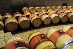 Foto: ALF PONCE / MDZ Foto: ALF PONCE / MDZ