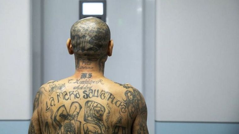 Cientos de presuntos pandilleros de la Mara Salvatrucha (MS-13) están establecidos en México (en la imagen, uno de sus miembros en la nueva megacárcel de El Salvador). Foto: GOBIERNO DE EL SALVADOR