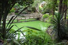 Mizujo recrea el paisaje tradicional japonés con puentes de madera, lagos artificiales y jardines que invitan a la calma. Foto: TripAdvisor