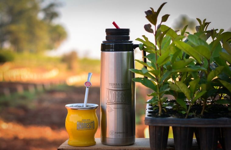 En el sector cooperativo yerbatero hay miradas divergentes sobre la realidad del sector y las soluciones a mano. Foto: Cooperativa Yerbatera Andresito