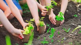 Foto: SHUTTERSTOCK Foto: SHUTTERSTOCK